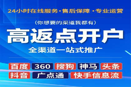 竞价排名在搜索引擎营销中的运用案例